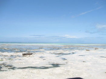 Zanzibar Rock Resort Pongwe Bagian luar foto