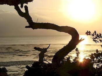 Zanzibar Rock Resort Pongwe Bagian luar foto